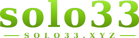 solo33 logo